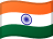 IN flag
